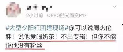 娱乐吃瓜报道文案短句搞笑,笑料百出！